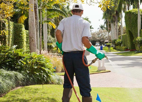 About Newfield NJ Pest Control Pros